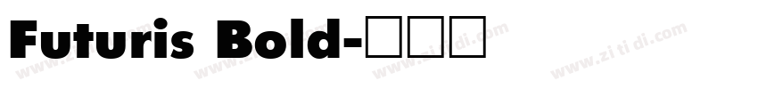 Futuris Bold字体转换